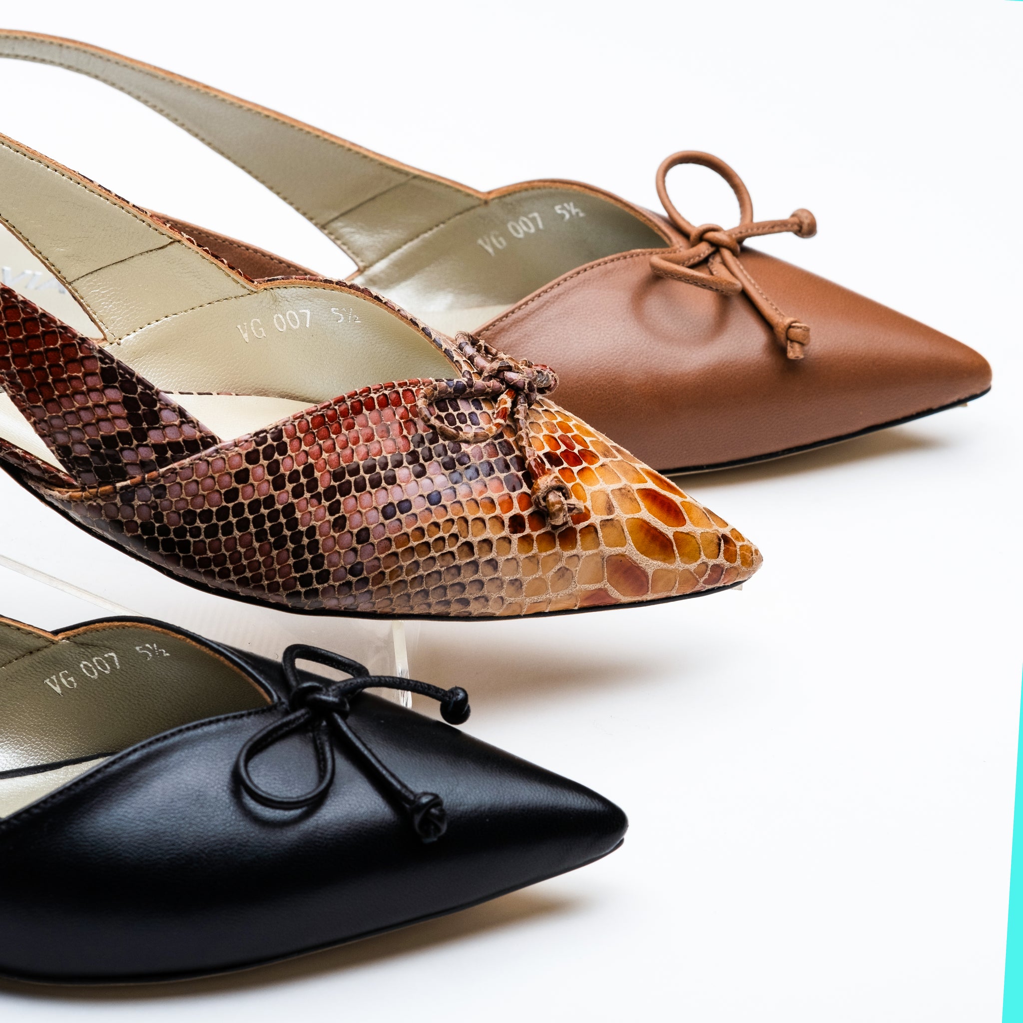 TWINKLE - Snake Multi