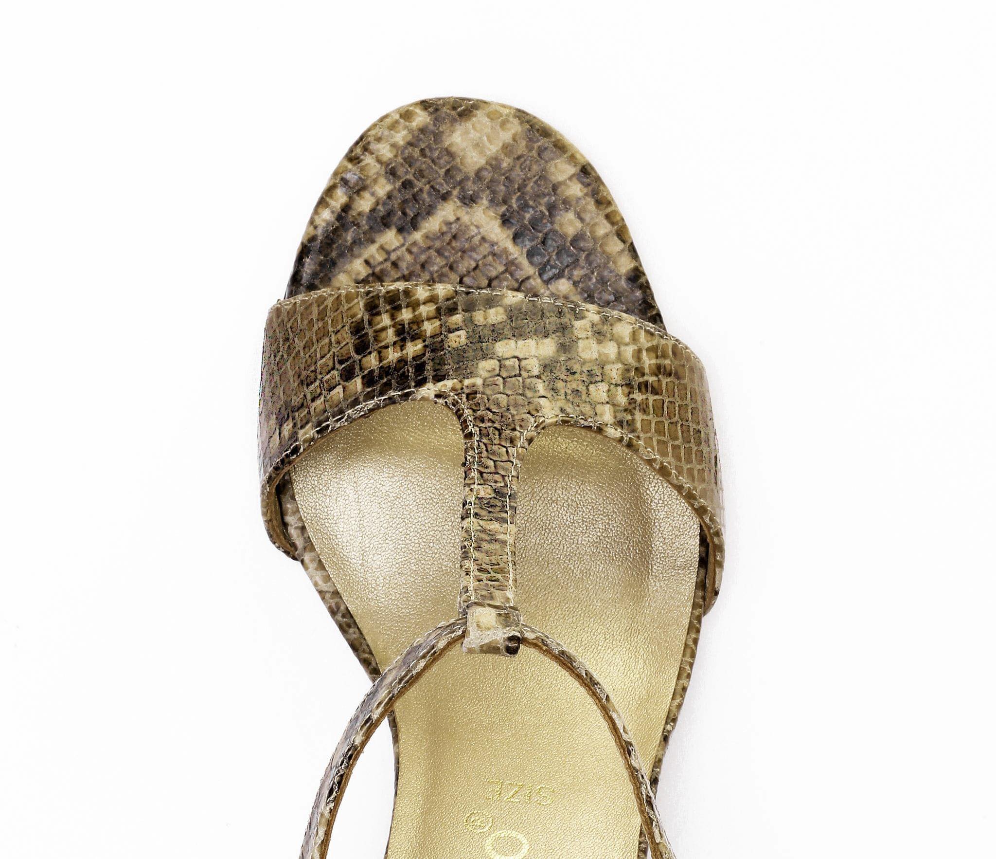 REGGINA - Beige Snake