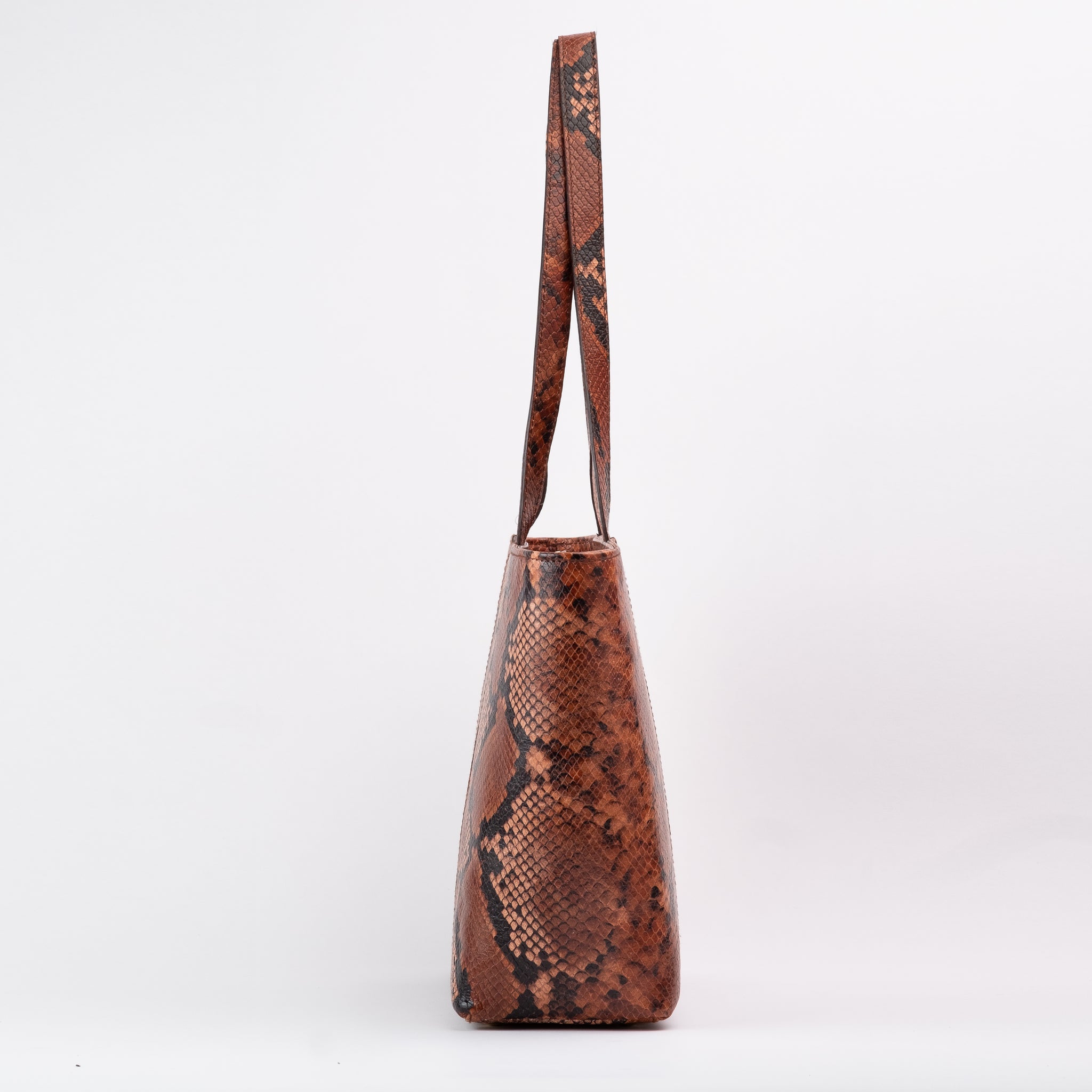 ANDREA - Brown Snake