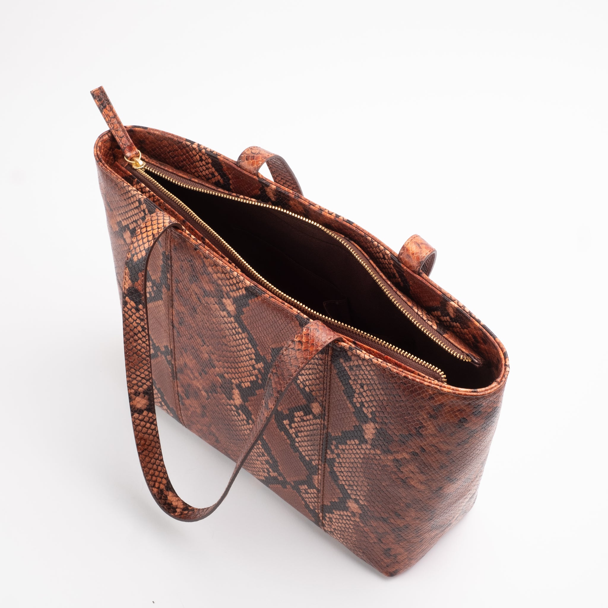ANDREA - Brown Snake